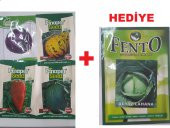 Kavun Tohum kavun Toh hasanbey biber Toh cappıa kırmızı Lahana Toh Beyaz Lahana Toh hediye - 1