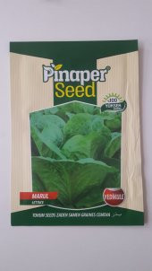 Marul (yedikule) %100 Yüksek Verimlidir. - 1