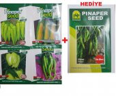 Biber Çeşitleri Tohumları - 1