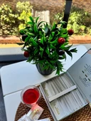 Eslina Detoks Tea Bitkisel Çay thumbnail 2