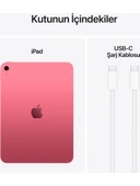 Apple iPad A16 11" 128GB Wi-Fi Tablet Pembe MD4E4TU/A thumbnail 2