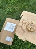 Organik Sertifikalı Bakliyat Seti (Kırmızı Mercimek, Yeşil Mercimek, Kuru Fasulye, Nohut, Pirinç, Burgu Makarna) thumbnail 2