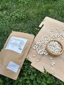 Organik Sertifikalı Bakliyat Seti (Kırmızı Mercimek, Yeşil Mercimek, Kuru Fasulye, Nohut, Pirinç, Burgu Makarna) thumbnail 5