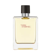 Hermes Terre D'Hermes 100 ml Edt thumbnail 1