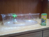 Tisert Büyük Kaplumbağa Bahçesi+30 ml Reptivit Kaplumbağa Vitamini+30 GRAM ARTAKUA KAPLUMBAĞA YEMİ thumbnail 2