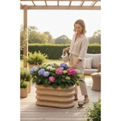 Modüler Yükseltilmiş Bahçe Yatağı Yükseltilmiş Sebze Yatağı Çiçeklik No:0 (60X34) Bej thumbnail 1