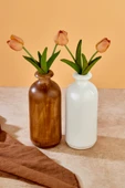 Akkoyunlu home 2'li Testi Dekoratif Pinterest Vazo Seramik Şık Dekorasyon Çiçeklik Vazo(Beyaz-Kahve) thumbnail 4