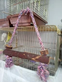 TÜM TÜRLERE UYGUN %100 DOĞAL MUHABBET KUŞU SALINCAK 31 CM+1 ADET İYOTLU ENERJİ BLOK thumbnail 2