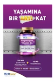 Wellcare Magnezyum + Vitamin B6 30 Tablet 3 Adet thumbnail 2