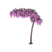 Mor Salkım Fidanı 10-20 cm thumbnail 5