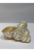 gemsartdeco UNDOSA SHELL thumbnail 2