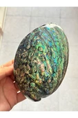 gemsartdeco Paua Sedef Kabuk Filipinler thumbnail 1