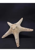gemsartdeco BEYAZ DENİZ YILDIZI thumbnail 2