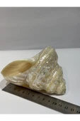 gemsartdeco UNDOSA SHELL thumbnail 8