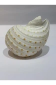 gemsartdeco TONA SKOSA SHELL thumbnail 5