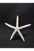 gemsartdeco PARMAK DENİZ YILDIZI thumbnail 1