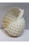 gemsartdeco TONA SKOSA SHELL thumbnail 6