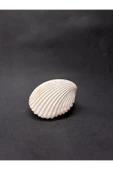 gemsartdeco BEYAZ COCKLES KABUK thumbnail 1