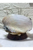 gemsartdeco Gerçek Mercan ve Kabuk Obje thumbnail 2