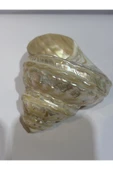 gemsartdeco UNDOSA SHELL thumbnail 1