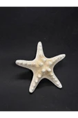 gemsartdeco BEYAZ DENİZ YILDIZI KÜÇÜK BOY thumbnail 1