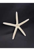 gemsartdeco PARMAK DENİZ YILDIZI thumbnail 2