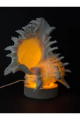 gemsartdeco MUREX KABUK GECE LAMBASI thumbnail 4