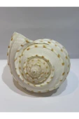 gemsartdeco TONA SKOSA SHELL thumbnail 8