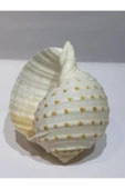 gemsartdeco TONA SKOSA SHELL thumbnail 2