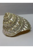 gemsartdeco UNDOSA SHELL thumbnail 6
