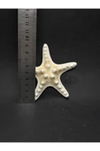 gemsartdeco BEYAZ DENİZ YILDIZI KÜÇÜK BOY thumbnail 4
