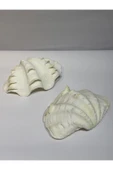 gemsartdeco TRIDACNA KOLEKSİYON KABUK thumbnail 7