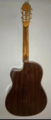 Elektro Klasik Gitar thumbnail 2