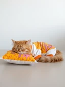 Tiger Leopar Desenli Penye Kedi Tulum | Tüy Dökülmesini Azaltmaya Yardımcı | Yumuşak & Rahat Kedi Kıyafeti thumbnail 1