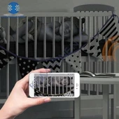 Cata CT-4050 360 Derece Dönebilen Akıllı Ip Kamera(Full HD-1080P) thumbnail 3