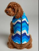 Surf Rain Küçük Köpek Yağmurluk Ceket thumbnail 1