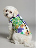 Flora Rain Küçük Köpek Yağmurluk Ceket thumbnail 8