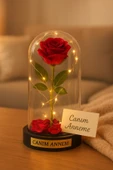 Annelere Özel Dekoratif Hediye Mika Fanus İçinde Canım Annem Yazılı Led Işıklı Yapay Kırmız Gül 20CM thumbnail 2