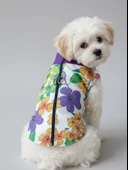 Flora Rain Küçük Köpek Yağmurluk Ceket thumbnail 9