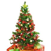 Kar Spreyi ( Kalıcı) thumbnail 2