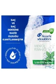Head & Shoulders Şampuan Mentol Ferahlığı 1in1 750 ml thumbnail 6