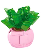 Ctoys Florist Burçlar Saksılı Bitki Yapım Seti Aquarius 8942 11 thumbnail 2