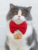 GingerHome Kedi Papyon Tasması | Kırmızı Fiyonk Boyun Aksesuarı | Noel Temalı Kedi Süsü thumbnail 1