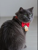 GingerHome Kedi Papyon Tasması | Kırmızı Fiyonk Boyun Aksesuarı | Noel Temalı Kedi Süsü thumbnail 2