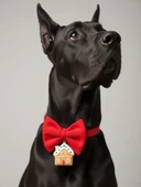 Ginger Home Köpek Papyon Tasması | Kırmızı Fiyonk Boyun Aksesuarı | Noel Temalı Köpek Süsü | Orta ve Büyük Irklar İçin thumbnail 2