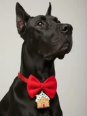 Ginger Home Köpek Papyon Tasması | Kırmızı Fiyonk Boyun Aksesuarı | Noel Temalı Köpek Süsü | Orta ve Büyük Irklar İçin thumbnail 5