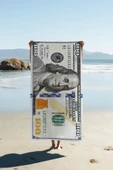 Dijital Baskı Plaj Deniz Havlusu Dolar Desenli Peştamal HVL0103 RENKLİ 80 X 160 thumbnail 1