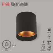 Cata CT-5421 Gu-10 Duy Armatür Siyah-Gold CATA-CT-5421 Sıva Üstü thumbnail 2