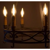 Cata Dekoratif Rustik Ampul 10'lu Paket CT-4280 thumbnail 2