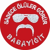 Single Sword ''SADECE ÖLÜLER GÖRÜR BABAYİĞİT'' Yazılı Cırtlı Nakış Arma, Patch, Peç Model thumbnail 5